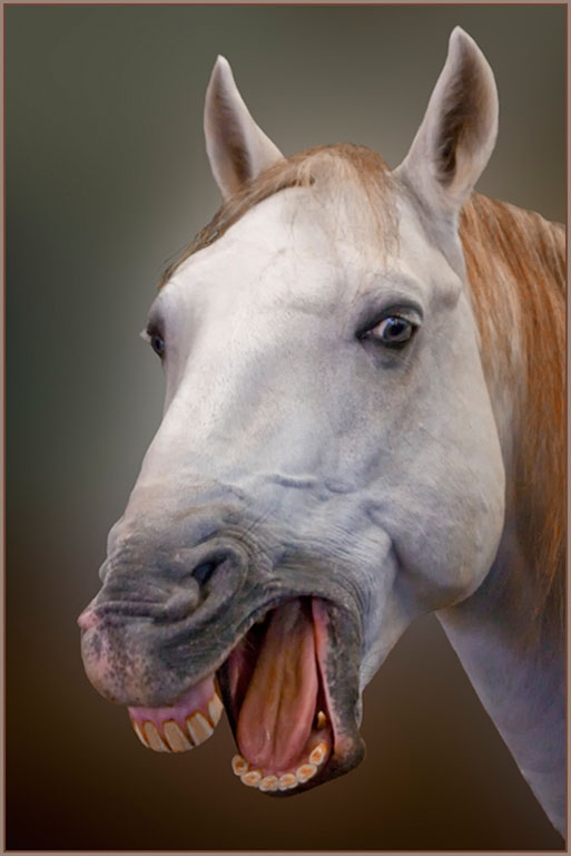 Hee Haw